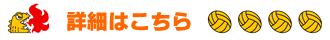 �ڍׂ͂�����
