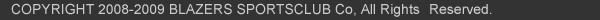 bsc copyright