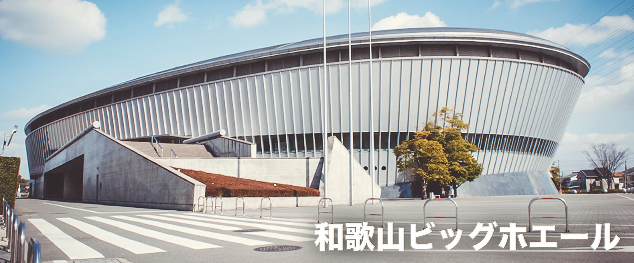 アリーナ情報