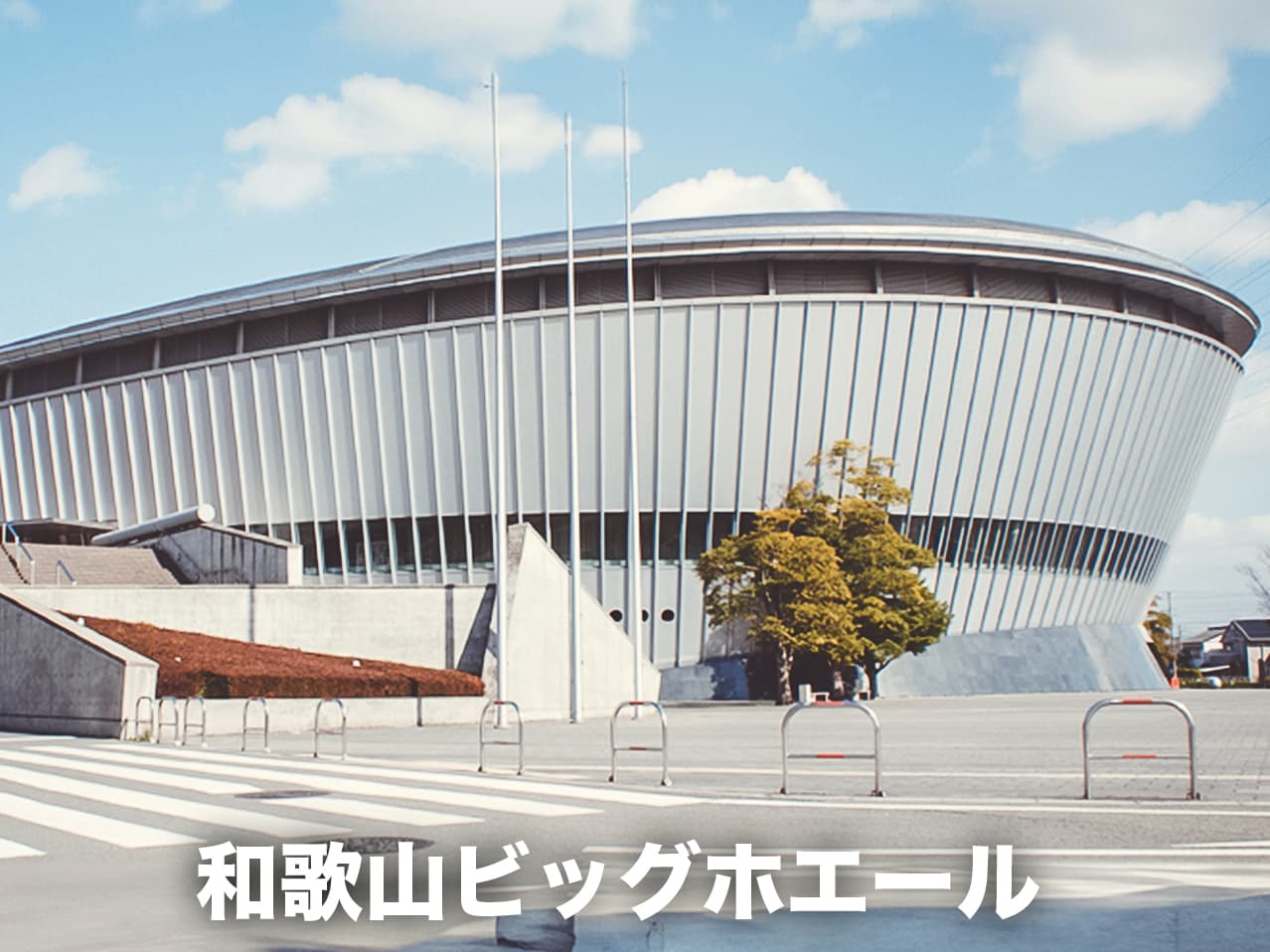 アリーナ情報