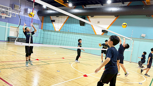 その他のバレーボール（小学生 / 中学生以上・成人）