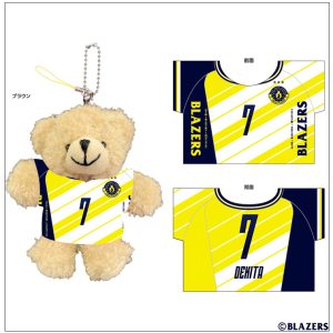 日本製鉄堺ブレイザーズ公式ページ(大阪、堺のバレーボールチーム)