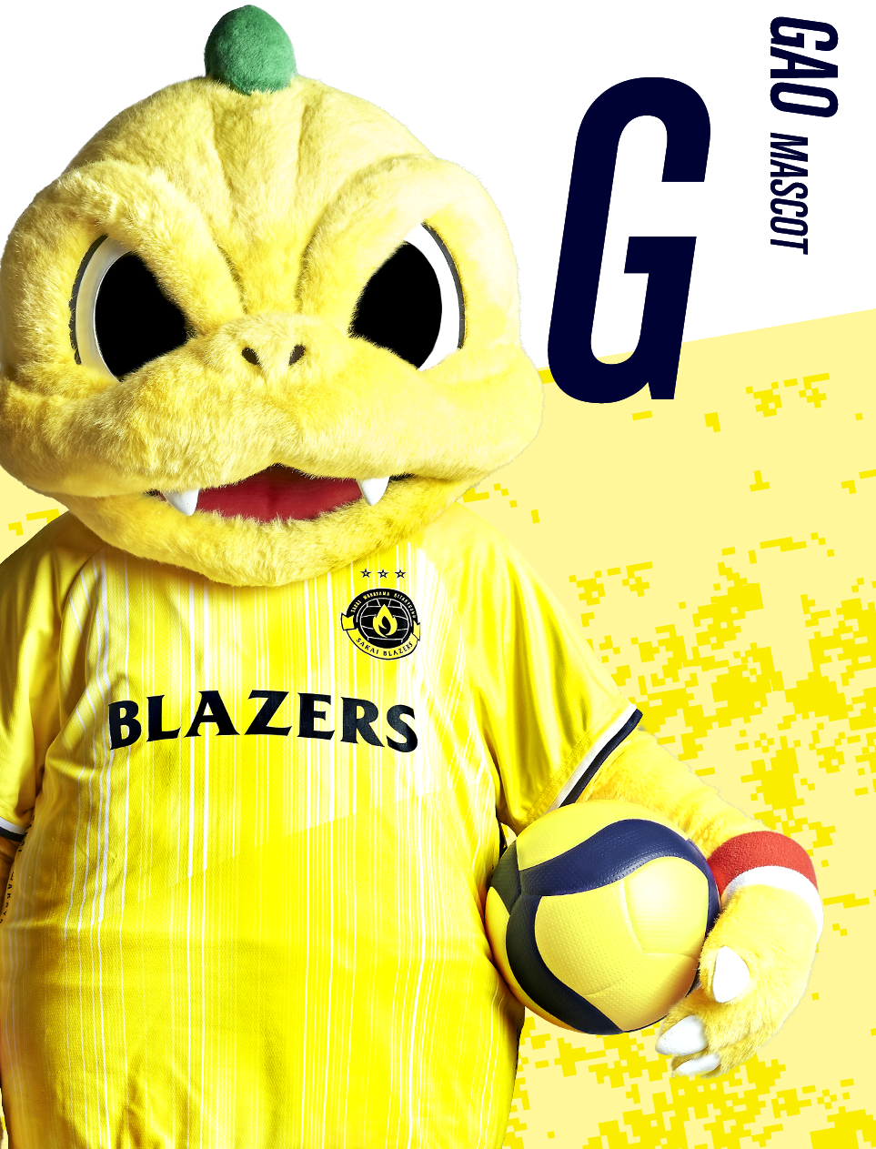 二代目 我王（ガオウ）